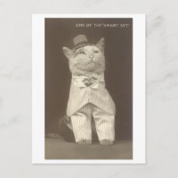 "Smart Set" Vintage habillé Chat