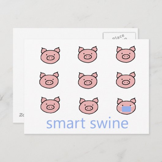 Carte postale Smart Swine (Devant / Derrière)