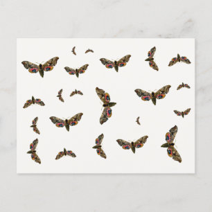 Carte Postale Smerinthus ocellata - Eyed Hawk-Moth - Color Image