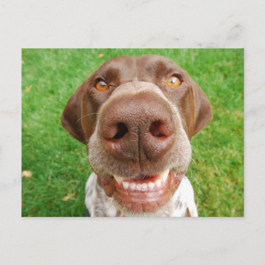 Carte postale Smile GSP (Devant)