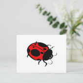 Carte Postale Smiling Ladybug - (Debout devant)