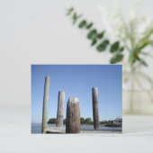 Carte postale Smith Island Dock (Debout devant)