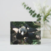 Carte Postale Snack après-midi (Debout devant)