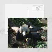 Carte Postale Snack après-midi (Devant / Derrière)