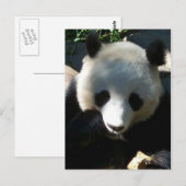 Carte Postale Snack de l'après-midi 1 (Devant / Derrière)