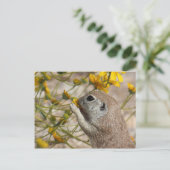 Carte Postale Snack Postcard (Debout devant)