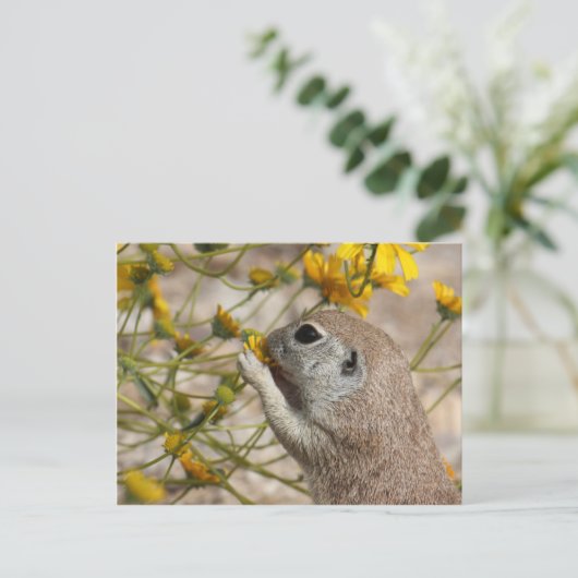 Carte Postale Snack Postcard (Debout devant)