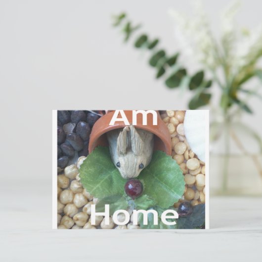 Carte Postale Snacking de lapin mignon (Debout devant)