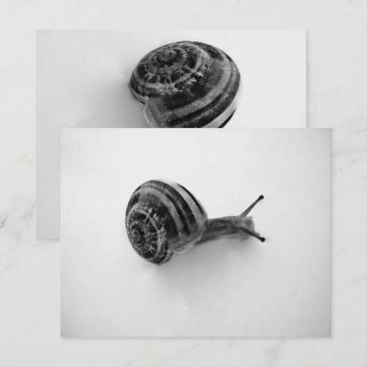 Carte postale Snail (Devant / Derrière)
