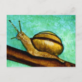 Carte postale Snail 1 (Devant)