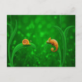 Carte Postale Snail et Chameleon (Devant)