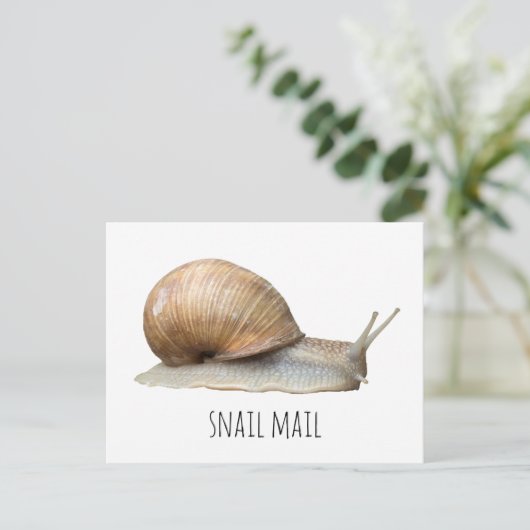 Carte Postale snail mail (Debout devant)