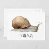 Carte Postale snail mail (Devant / Derrière)