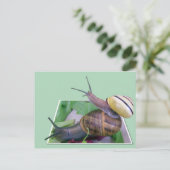 Carte postale Snails (Debout devant)