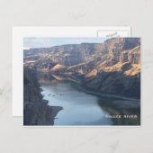 Carte Postale Snake (Devant / Derrière)