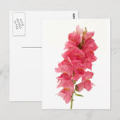 Carte Postale Snapdragon commun (Devant / Derrière)