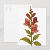 Carte Postale Snapdragon — Gracité, tromperie (Devant / Derrière)