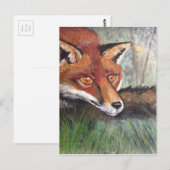 Carte Postale Sneaky Fox (Devant / Derrière)