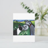Carte Postale snif de Boston Terrier & Schnauzer (Debout devant)