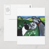 Carte Postale snif de Boston Terrier & Schnauzer (Devant / Derrière)