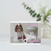 Carte postale Snifney Spears (Debout devant)