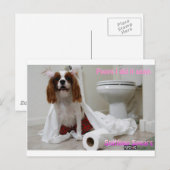 Carte postale Snifney Spears (Devant / Derrière)