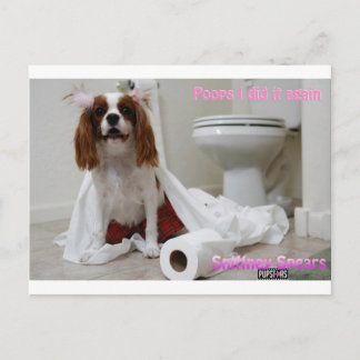 Carte postale Snifney Spears