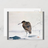 Carte Postale Snipe, Watanabe Seitei (Devant / Derrière)