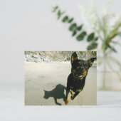 Carte Postale Snoop (Debout devant)