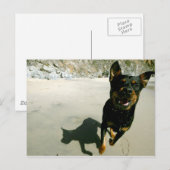 Carte Postale Snoop (Devant / Derrière)