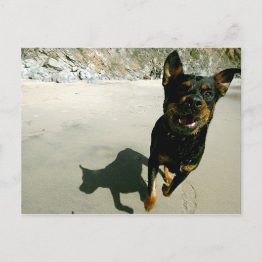 Carte Postale Snoop (Devant)