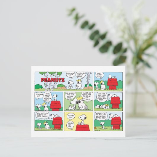 Carte Postale Snoopy et ses frères Andy et Olaf (Debout devant)