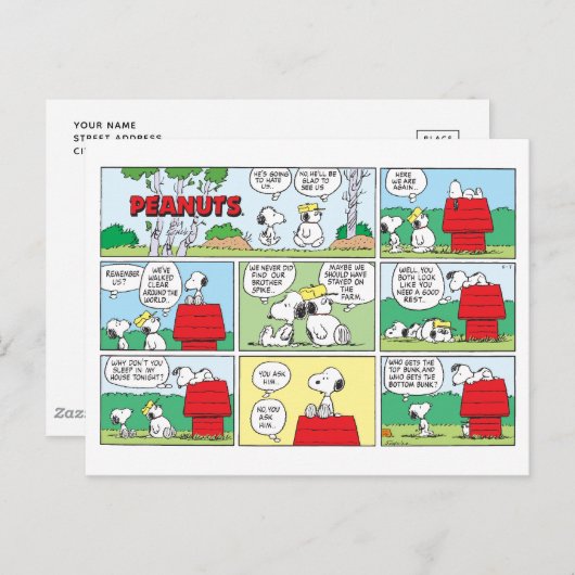 Carte Postale Snoopy et ses frères Andy et Olaf (Devant / Derrière)