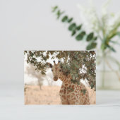 Carte Postale Snoopy Girafe (Debout devant)