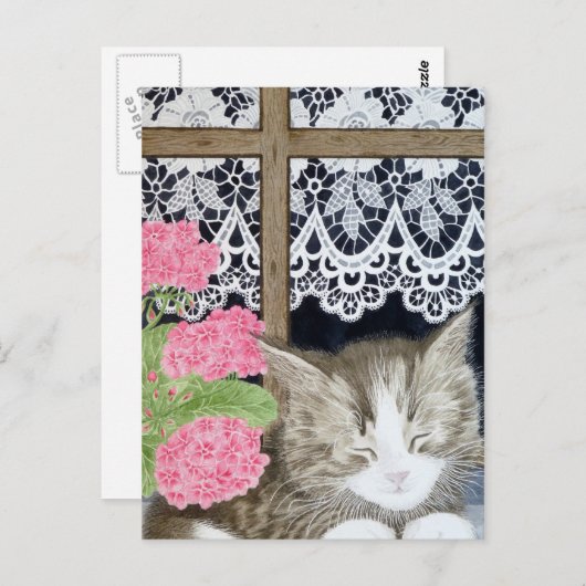 Carte Postale Snoozing au soleil (Devant / Derrière)