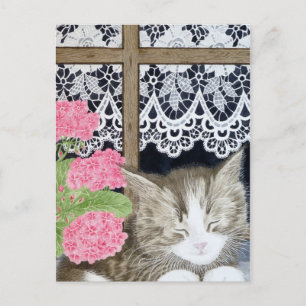 Carte Postale Snoozing au soleil