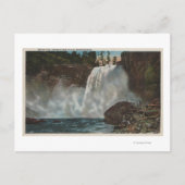 Carte Postale Snoqualmie Falls, WA - Vue des chutes au fond (Devant)