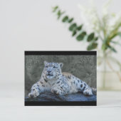 Carte postale Snow Leopard Dreams (Debout devant)