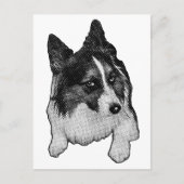 Carte postale Snow-Path (Devant)