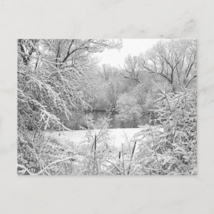 Carte Postale Snow Storm