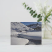 Carte Postale SNow sur SNow (Debout devant)