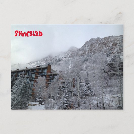 Carte Postale Snowbird (Devant)