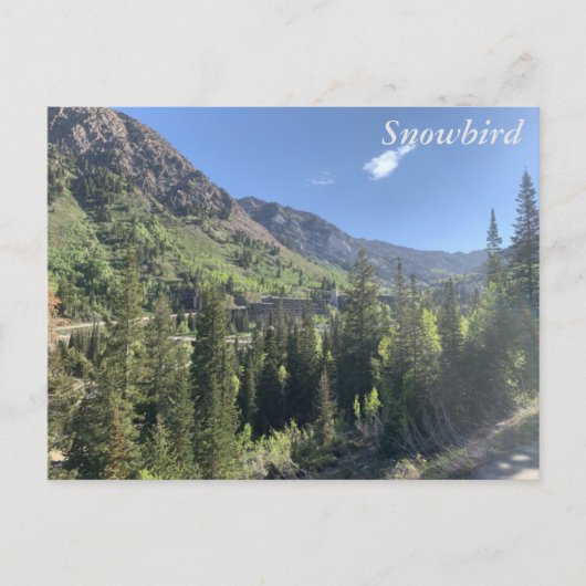 Carte Postale Snowbird - été (Devant)