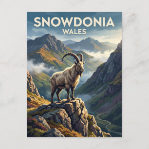 Carte Postale Snowdonia pays de Galles