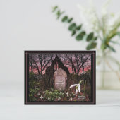 Carte postale Snowdrops (Debout devant)