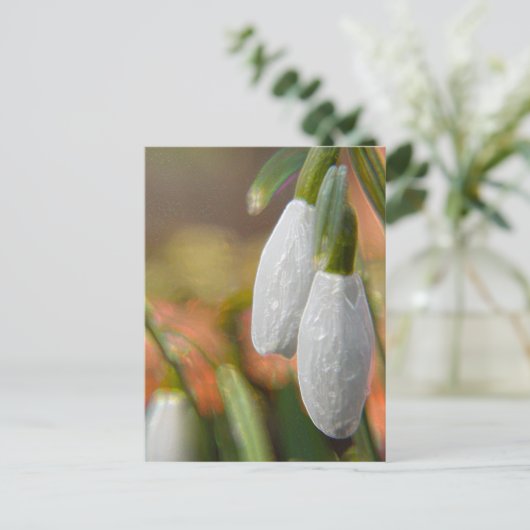 Carte Postale Snowdrops (Debout devant)