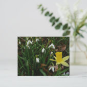 Carte Postale Snowdrops et Daffodil Spring Floral (Debout devant)