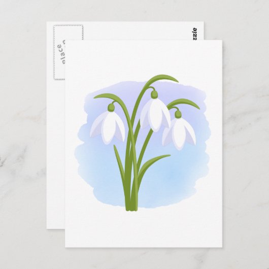 Carte Postale Snowdrops - Fleurs de printemps sur aquarelle bleu (Devant / Derrière)