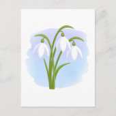 Carte Postale Snowdrops - Fleurs de printemps sur aquarelle bleu (Devant)