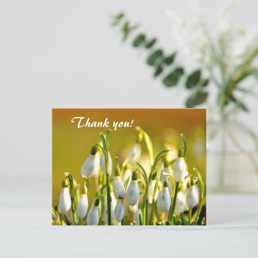 Carte Postale Snowdrops Merci (Debout devant)